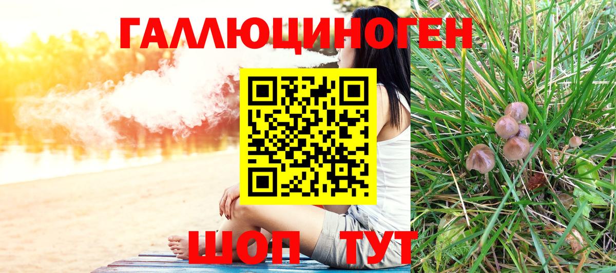 Псилоцибиновые грибы Psilocybe  Вход с VPN  Курганинск 